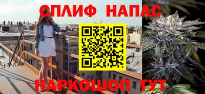 дмт Будённовск