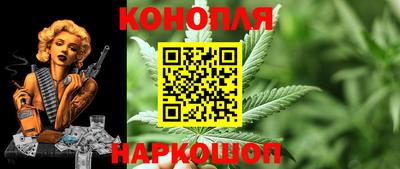 гашик Бузулук